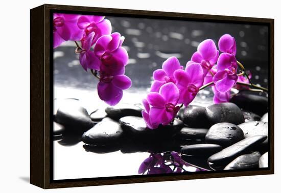 Branch Purple Orchid Flower With Therapy Stones-crystalfoto-Framed Premier Image Canvas