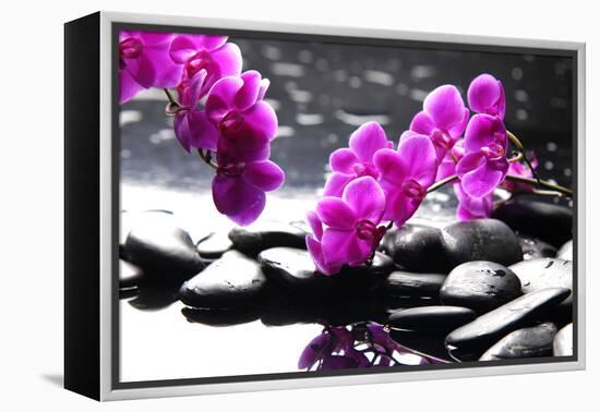 Branch Purple Orchid Flower With Therapy Stones-crystalfoto-Framed Premier Image Canvas