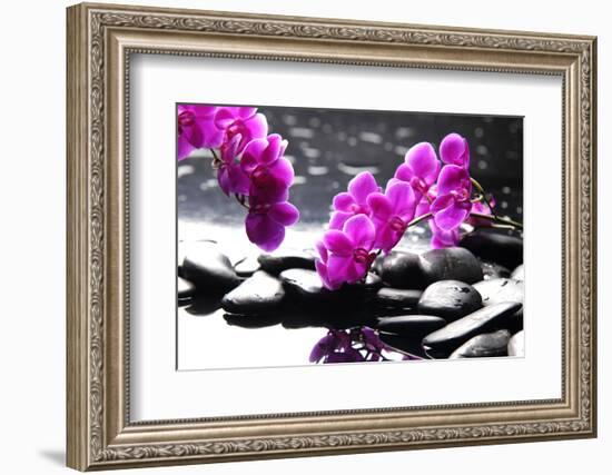 Branch Purple Orchid Flower With Therapy Stones-crystalfoto-Framed Photographic Print