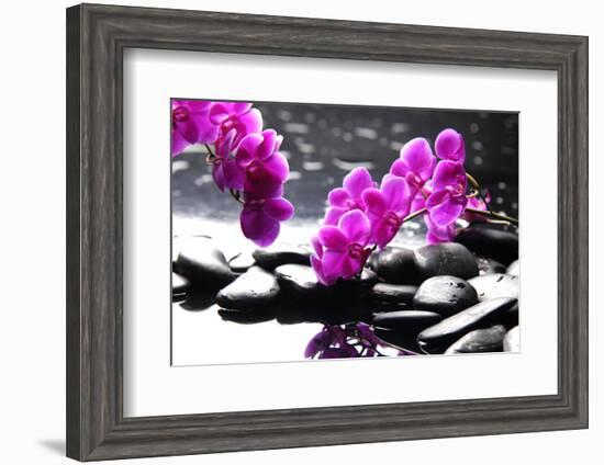 Branch Purple Orchid Flower With Therapy Stones-crystalfoto-Framed Photographic Print