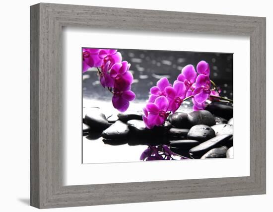 Branch Purple Orchid Flower With Therapy Stones-crystalfoto-Framed Photographic Print