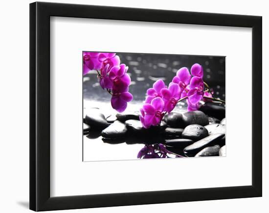 Branch Purple Orchid Flower With Therapy Stones-crystalfoto-Framed Photographic Print