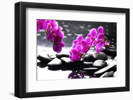 Branch Purple Orchid Flower With Therapy Stones-crystalfoto-Framed Photographic Print