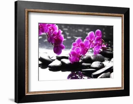 Branch Purple Orchid Flower With Therapy Stones-crystalfoto-Framed Photographic Print