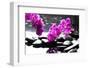 Branch Purple Orchid Flower With Therapy Stones-crystalfoto-Framed Photographic Print