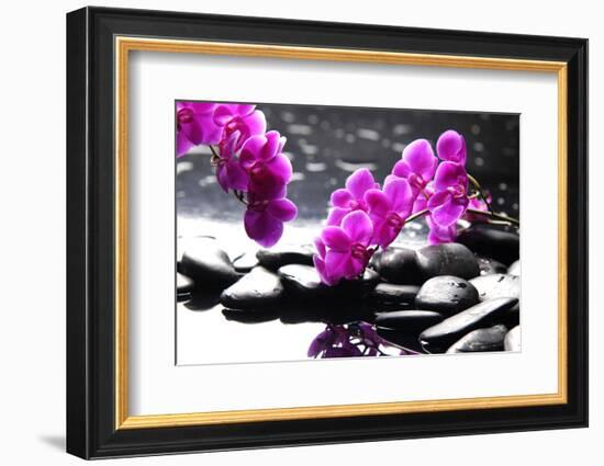 Branch Purple Orchid Flower With Therapy Stones-crystalfoto-Framed Photographic Print