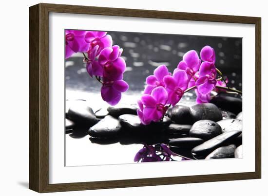 Branch Purple Orchid Flower With Therapy Stones-crystalfoto-Framed Photographic Print