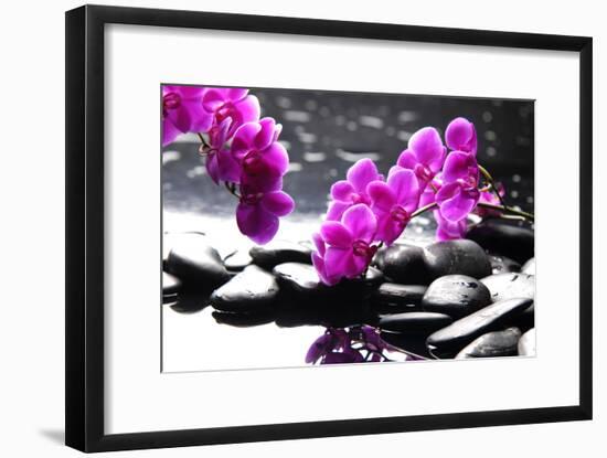 Branch Purple Orchid Flower With Therapy Stones-crystalfoto-Framed Photographic Print