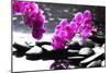 Branch Purple Orchid Flower With Therapy Stones-crystalfoto-Mounted Photographic Print