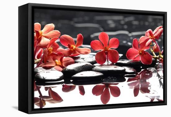 Branch Red Orchid with Zen Stones Reflection-crystalfoto-Framed Premier Image Canvas