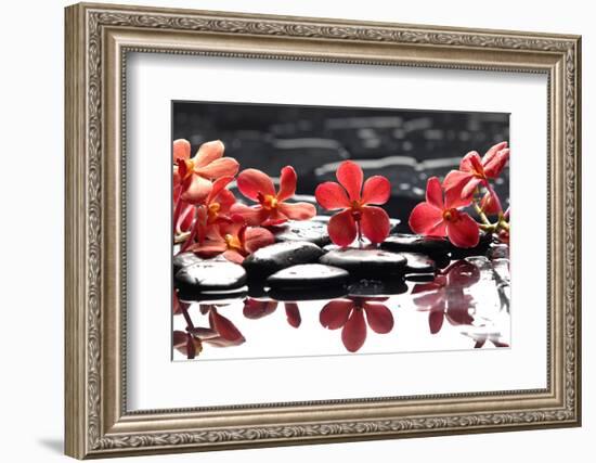 Branch Red Orchid with Zen Stones Reflection-crystalfoto-Framed Photographic Print