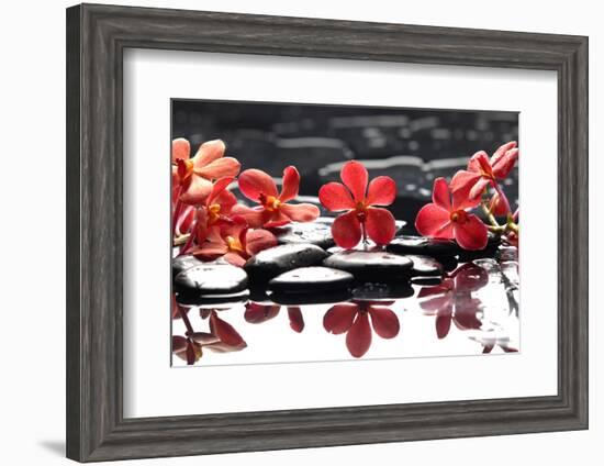 Branch Red Orchid with Zen Stones Reflection-crystalfoto-Framed Photographic Print