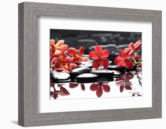 Branch Red Orchid with Zen Stones Reflection-crystalfoto-Framed Photographic Print