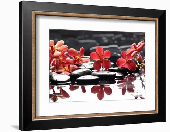 Branch Red Orchid with Zen Stones Reflection-crystalfoto-Framed Photographic Print