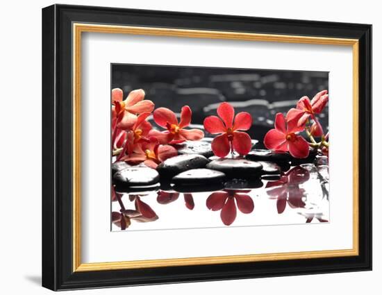 Branch Red Orchid with Zen Stones Reflection-crystalfoto-Framed Photographic Print