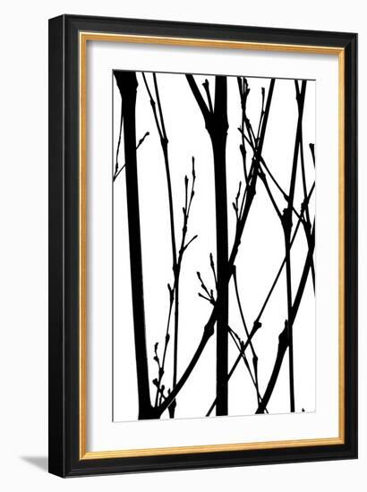 Branch Silhouette IV-Monika Burkhart-Framed Photographic Print