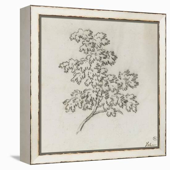Branche d'arbre avec des feuilles-Pierre Henri de Valenciennes-Framed Premier Image Canvas