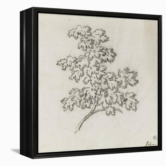 Branche d'arbre avec des feuilles-Pierre Henri de Valenciennes-Framed Premier Image Canvas