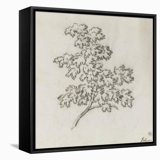 Branche d'arbre avec des feuilles-Pierre Henri de Valenciennes-Framed Premier Image Canvas