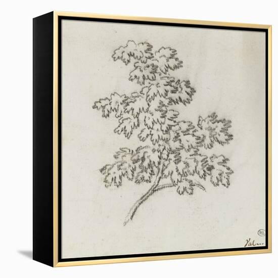 Branche d'arbre avec des feuilles-Pierre Henri de Valenciennes-Framed Premier Image Canvas