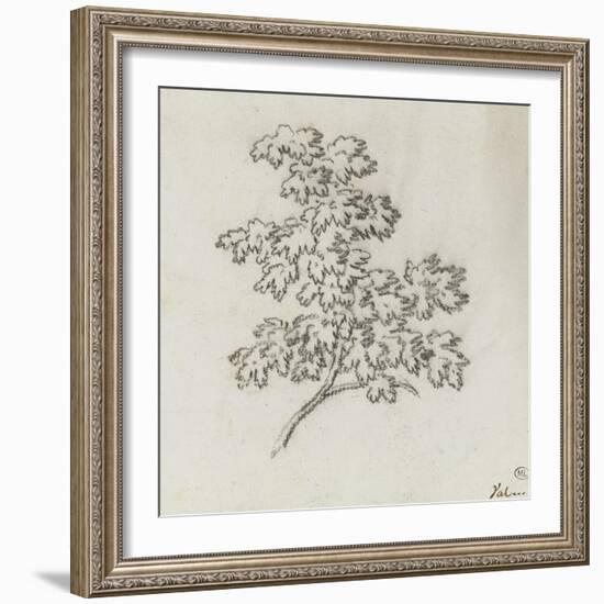 Branche d'arbre avec des feuilles-Pierre Henri de Valenciennes-Framed Giclee Print