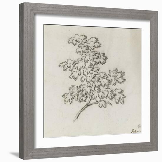 Branche d'arbre avec des feuilles-Pierre Henri de Valenciennes-Framed Giclee Print