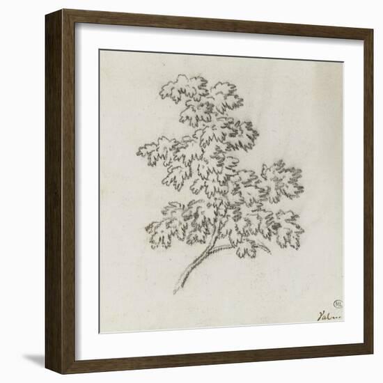 Branche d'arbre avec des feuilles-Pierre Henri de Valenciennes-Framed Giclee Print