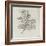 Branche d'arbre avec des feuilles-Pierre Henri de Valenciennes-Framed Giclee Print