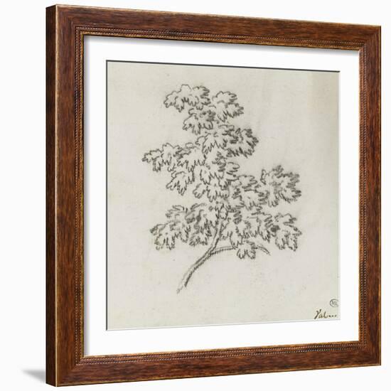 Branche d'arbre avec des feuilles-Pierre Henri de Valenciennes-Framed Giclee Print