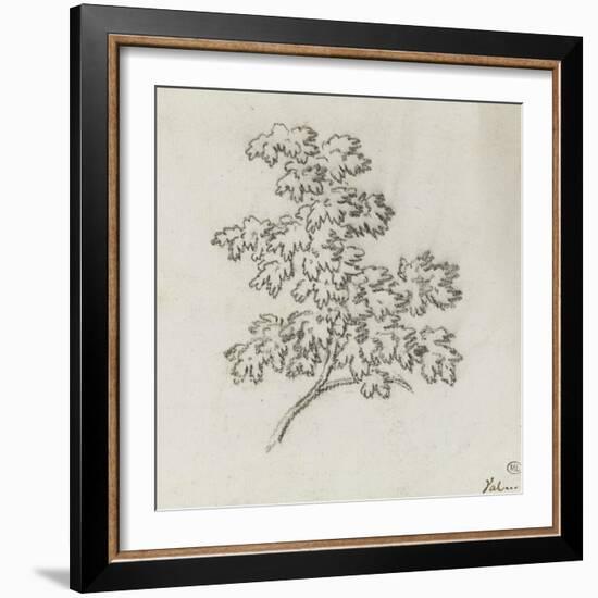 Branche d'arbre avec des feuilles-Pierre Henri de Valenciennes-Framed Giclee Print