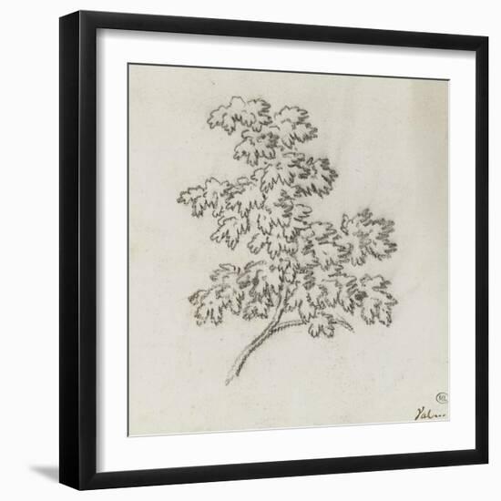 Branche d'arbre avec des feuilles-Pierre Henri de Valenciennes-Framed Giclee Print