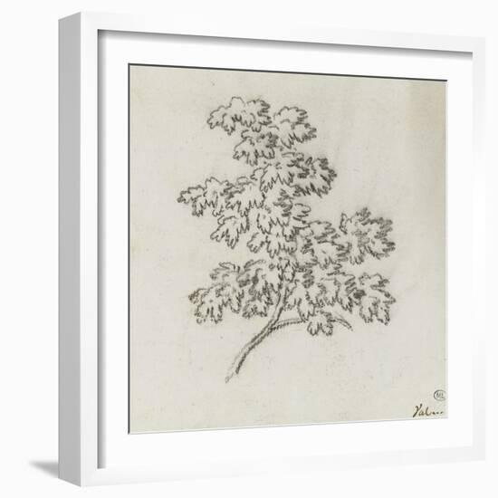 Branche d'arbre avec des feuilles-Pierre Henri de Valenciennes-Framed Giclee Print