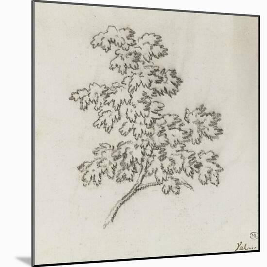 Branche d'arbre avec des feuilles-Pierre Henri de Valenciennes-Mounted Giclee Print