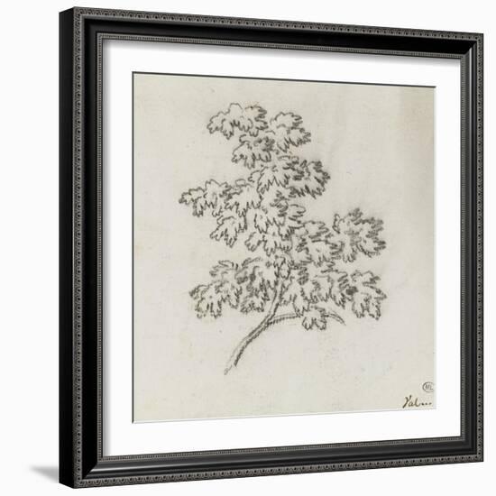 Branche d'arbre avec des feuilles-Pierre Henri de Valenciennes-Framed Giclee Print