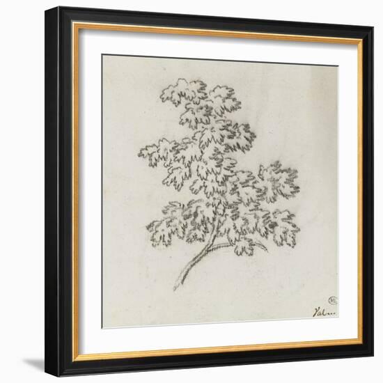 Branche d'arbre avec des feuilles-Pierre Henri de Valenciennes-Framed Giclee Print