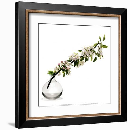 Branche de Pommier-Stephane De Bourgies-Framed Art Print