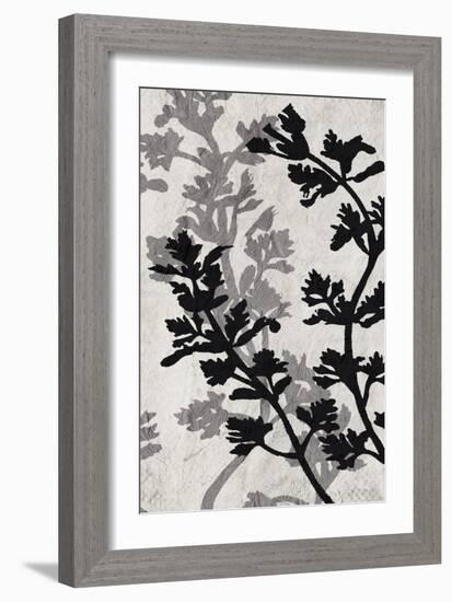 Branches 4 V2-Allen Kimberly-Framed Art Print