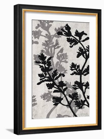 Branches 4 V2-Allen Kimberly-Framed Art Print