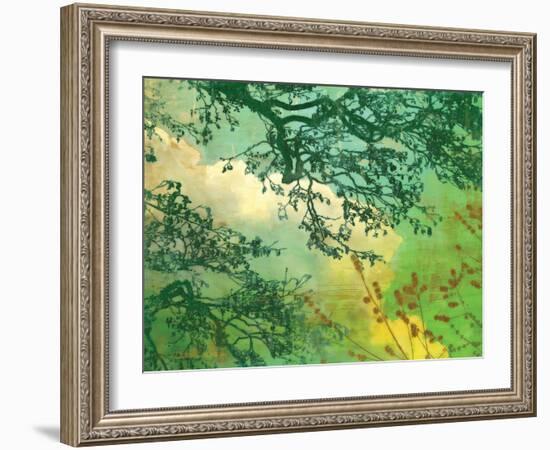 Branches and Clouds-James McMasters-Framed Art Print