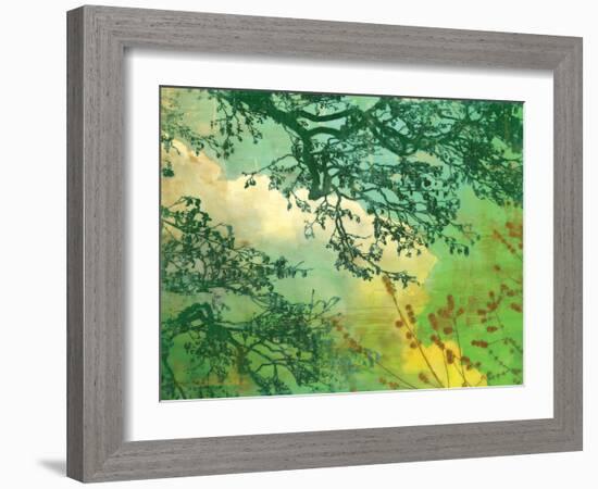 Branches and Clouds-James McMasters-Framed Art Print