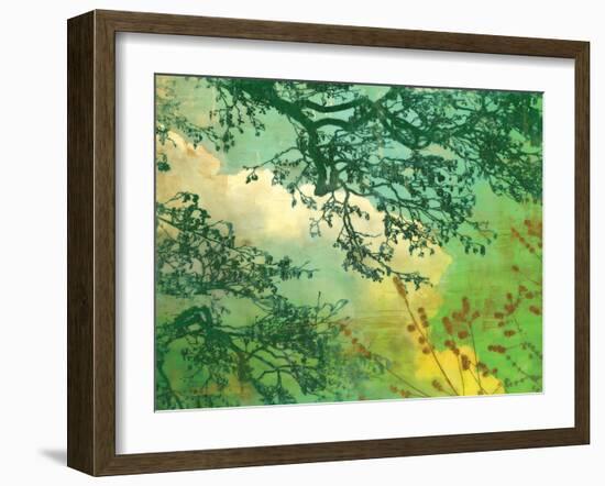 Branches and Clouds-James McMasters-Framed Art Print