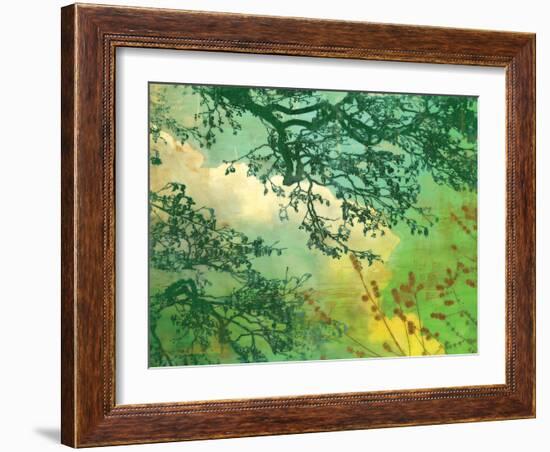 Branches and Clouds-James McMasters-Framed Art Print