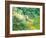 Branches and Clouds-James McMasters-Framed Art Print