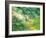 Branches and Clouds-James McMasters-Framed Art Print