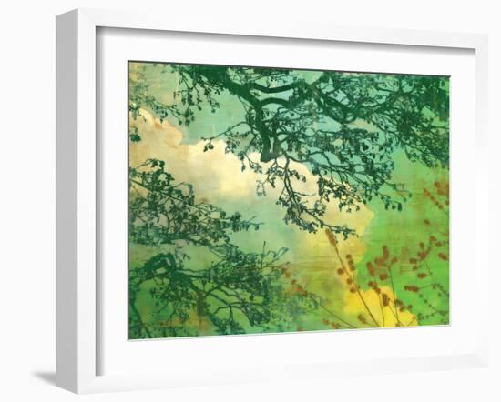 Branches and Clouds-James McMasters-Framed Art Print