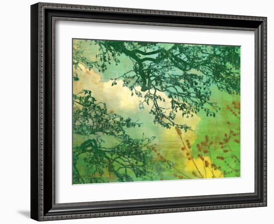 Branches and Clouds-James McMasters-Framed Art Print