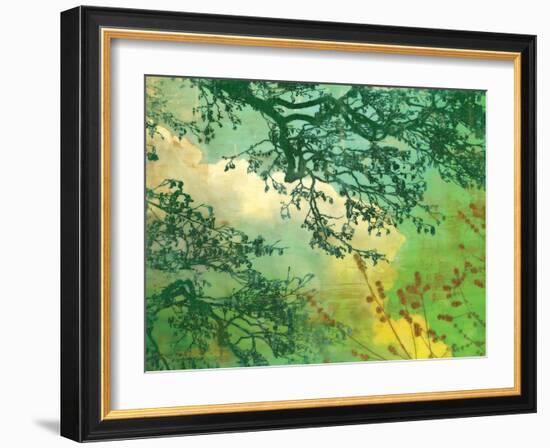 Branches and Clouds-James McMasters-Framed Art Print