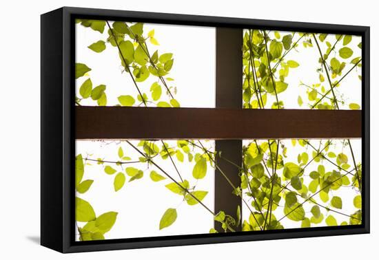 Branches and Lattice-Karyn Millet-Framed Premier Image Canvas