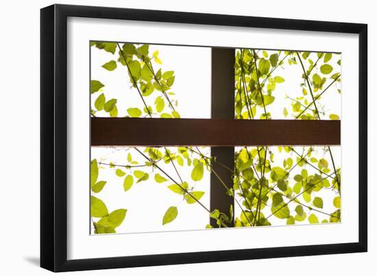 Branches and Lattice-Karyn Millet-Framed Photographic Print