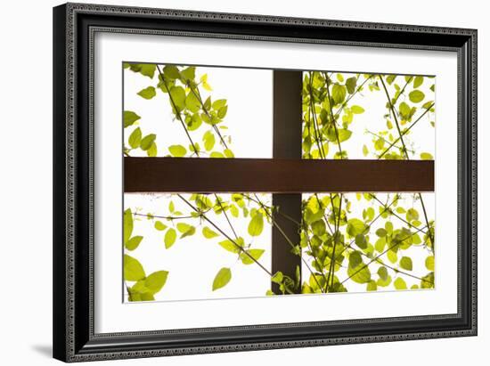 Branches and Lattice-Karyn Millet-Framed Photographic Print